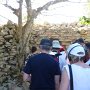 we had head sets to listen to our guide give us the history